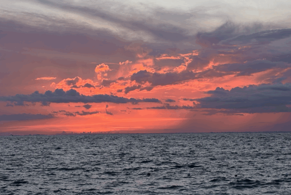 A Deep Orange Sunset